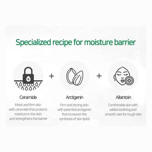 Ample:N: Ceramide Shot Cream 50ml