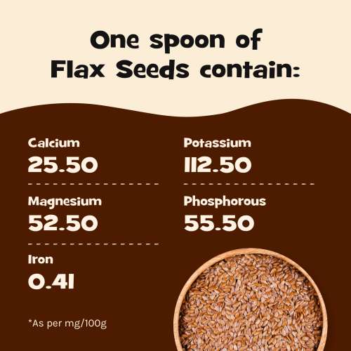 Nourish You: Organic Raw Flax Seeds- Gluten free & Protein rich , Healthy Snacks  -1kg