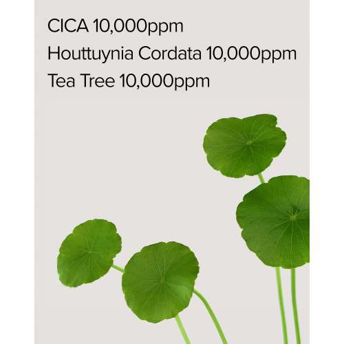 Mary&May: CICA Houttuynia Tea Tree Calming Mask 30ea/400g