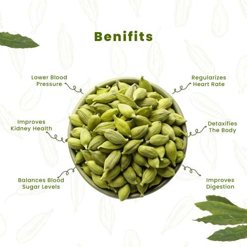 Fabeato: Whole Green Cardamom Bold Premium Elaichi Pack of 3