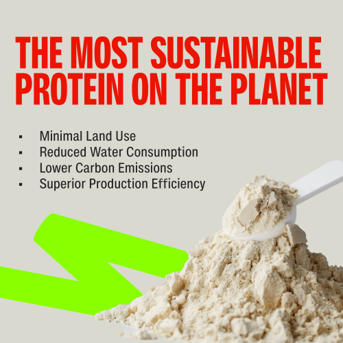 SuperYou: Pro Fermented Yeast Protein Isolate 500gm | 24gm Protein| Vanilla | Higher Absorption than Plant Protein | Superior Muscle Recovery | Gut Friendly | Vegan Protein | PDCAAS of 1