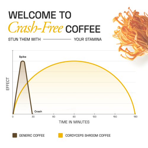 Ace Blend: Cordyceps Shroom Coffee, Boosts Immunity & Energy, Instant Medium Roast Blend (15 Serves)