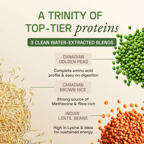 Ace Blend: Unflavoured Plant Protein Triple Complex, 26gm Protein per Serving, Gut Friendly | 50gm