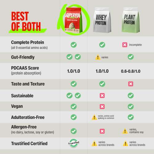 SuperYou: Pro Fermented Yeast Protein Isolate 500gm | 24gm Protein| Vanilla | Higher Absorption than Plant Protein | Superior Muscle Recovery | Gut Friendly | Vegan Protein | PDCAAS of 1