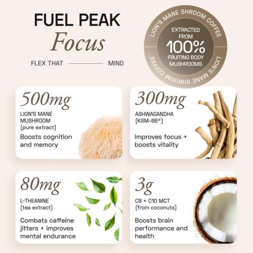 Ace Blend: Lion's Mane Shroom Coffee, Focus & Memory, Instant Medium Roast Blend (5 Serves)