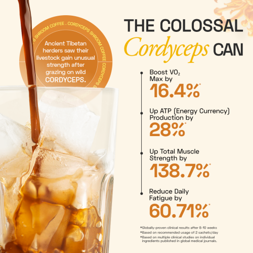 Ace Blend: Cordyceps Shroom Coffee, Boosts Immunity & Energy, Instant Medium Roast Blend (15 Serves)