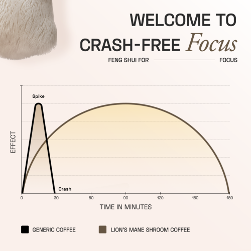 Ace Blend: Lion's Mane Shroom Coffee, Focus & Memory, Instant Medium Roast Blend (5 Serves)