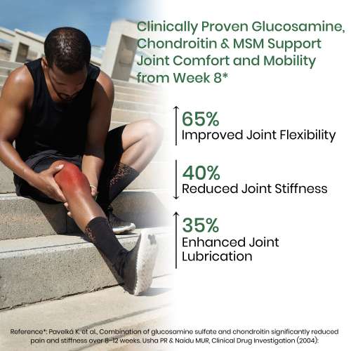 Vlado's Himalayan Organics: Vladoâ€™s Himalayan Organics Glucosamine Chondroitin MSM Tablets | Cartilage & Joint Support Supplement | Glucosamine for Joint Relieves Pain and Stiffness I Added Collagen peptides, Curcuma, Vitamin D & Boswellia - Pure Veg Formula - 120 Vegetarian Table