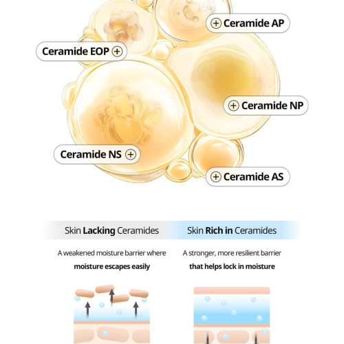 VT Cosmetics: Rice Ceramide Capsule Cream 50ml