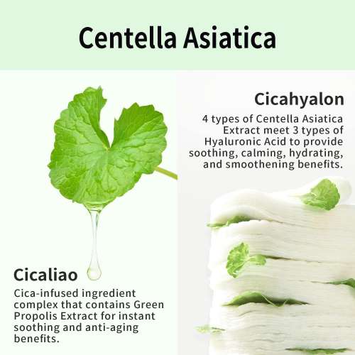 VT Cosmetics: Cica No-Sebum Mild Powder 5gm