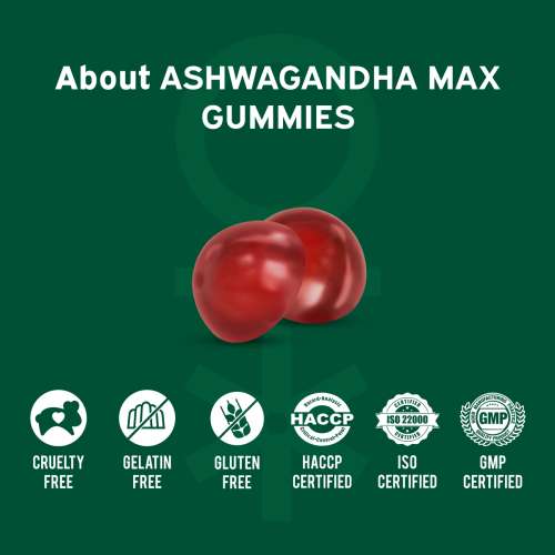NUTRIBURST: Ashwagandha Max 500mg Gummies for Stress and Anxiety Relief Vigour, Energy, Power & Stamina Relax Refresh Mind & Body Guava Flavor Gummies, No added sugar 220gm