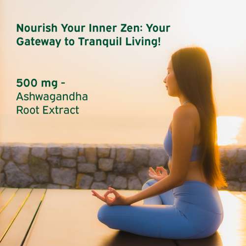 NUTRIBURST: Ashwagandha Max 500mg Gummies for Stress and Anxiety Relief Vigour, Energy, Power & Stamina Relax Refresh Mind & Body Guava Flavor Gummies, No added sugar 220gm