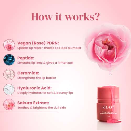 ClayCo.: Sakura Lip Mask with PDRN & Peptide 10gm