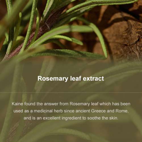 Kaine: Rosemary Relief Gel Cleanser 30ml