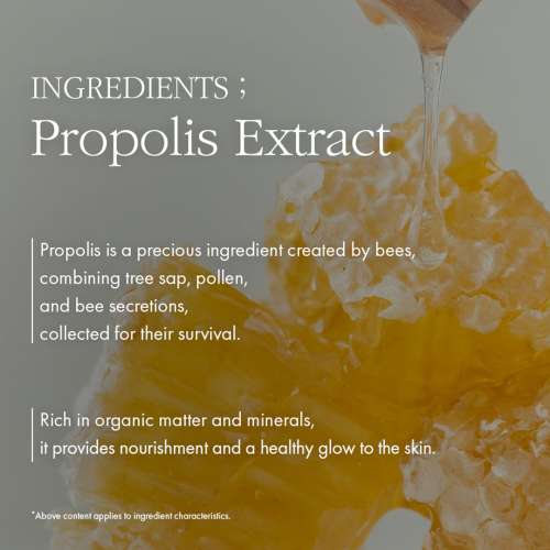 Dr. Ceuracle: Royal Vita Propolis Antioxidant Sheet Mask Set of 10