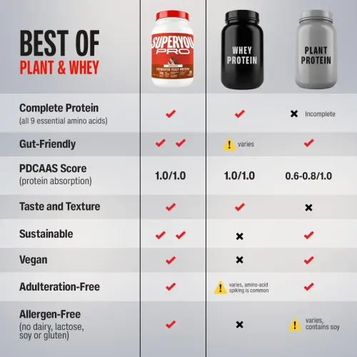 SuperYou: Pro Fermented Yeast Protein | 24g Protein| Chocolate | Peak Absorption | Superior Muscle Recovery | Gut Friendly + 1Bn CFU Probiotics | PDCAAS of 1 - 1kg