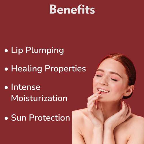 Dermistry: Cocoa Butter Tinted Lip Balm with Spf for Pigmentation Dry Dark Chapped Pigmented Lips 15ml