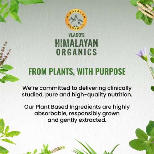 Vlado's Himalayan Organics: Vegetarian Omega 3 - 1120 MG Supplement | 3X Strength | Veg DHA | Vegetarian Omega 3 | Algal DHA | Plant Based | No Fish oil Used I Healthy Heart, Joints & Eyes I Omega Capsules for Men & Women- 60 Veg Capsules