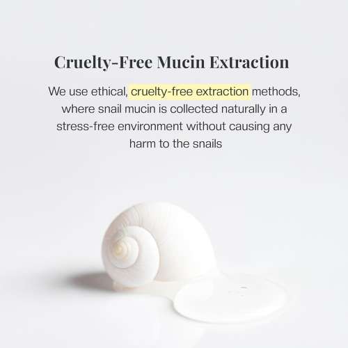 Mirabelle: Snail Miin Real Revolution Eye Cream