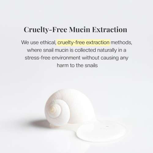 Mirabelle: Snail Miin Pure Bubble Cleanser