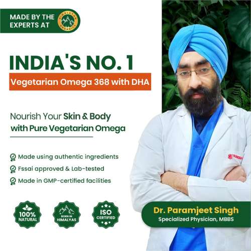 Vlado's Himalayan Organics: Vegetarian Omega 3 - 1120 MG Supplement | 3X Strength | Veg DHA | Vegetarian Omega 3 | Algal DHA | Plant Based | No Fish oil Used I Healthy Heart, Joints & Eyes I Omega Capsules for Men & Women- 60 Veg Capsules