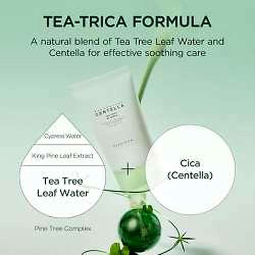 SKIN1004: Madagascar Centella Tea Trica B5 Cream | Calming Care | Sensitive Skin | Moisturizer | Barrier Support | 75Ml