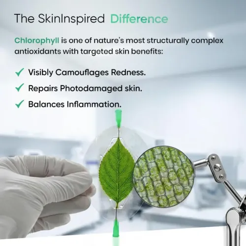 SkinInspired: The Green Sunscreen | SPF 50 PA++++ | Broad Spectrum Sun Protection | 50ml