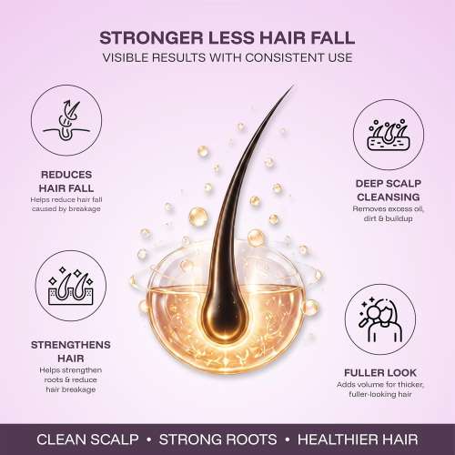 CINCINNUS: Ginger Anti Hair Loss & Strengthening Shampoo 500ml