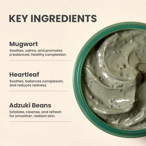AXIS-Y: Mugwort Pore Clarifying Wash Off Pack | Pore Cleansing | Detoxifying | Excess Oil Control | 100ml