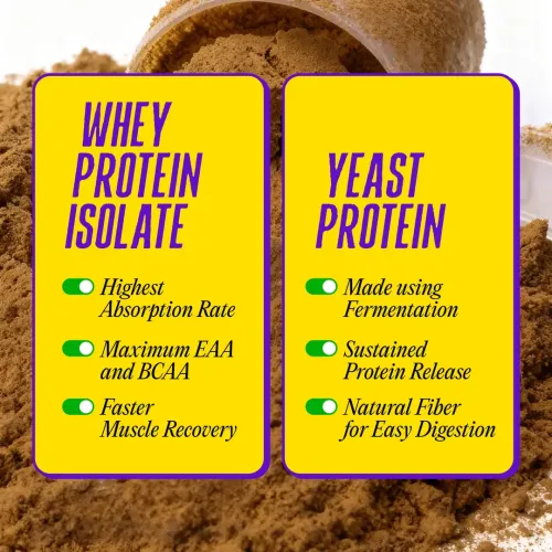 Yogabar: Yeast + Whey Protein Powder | High Protein Blend | Chocolate Flavor | Muscle Support | 500gm