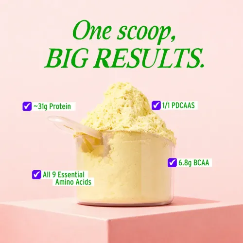 Yogabar: Yeast Protein Powder | Plant-Based Protein | Unflavored | High Protein Supplement | 500gm