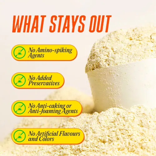 Yogabar: Yeast + Whey Protein Powder | High Protein Blend | Unflavored | Muscle Support | 500gm