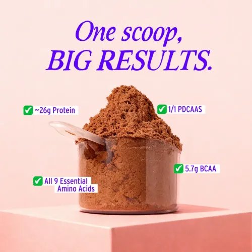 Yogabar: Yeast Protein Powder | Plant-Based Protein | Chocolate Flavor | High Protein Supplement | 500gm