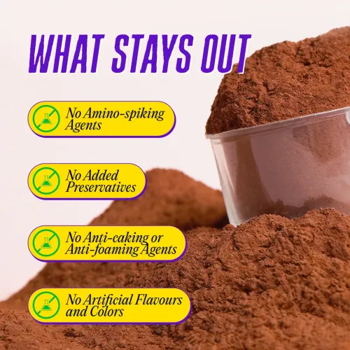 Yogabar: Yeast + Whey Protein Powder | High Protein Blend | Chocolate Flavor | Muscle Support | 500gm