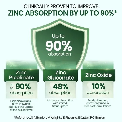 Vlado's Himalayan Organics: Zinc Picolinate with Vitamin C & Copper | Zinc Supplements for Men with 100% RDA Zinc | Immunity & Cellular Health Support  120 capsules
