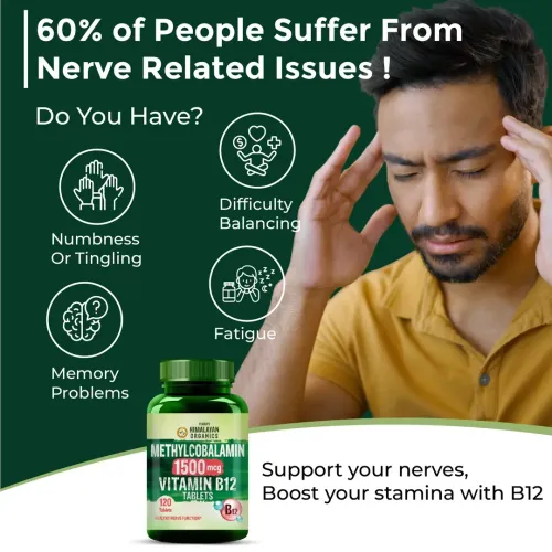 Vlado's Himalayan Organics: Vitamin B12 Tablets 1500 mcg as Methylcobalamin Vitamin B12 Supplements for Men & Women -120 Veg tablets (4 Months Supply Pack)