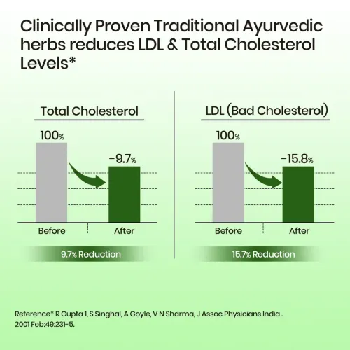 Vlado's Himalayan Organics: Cholesterol Control Supplement | Arjuna, Amla, Berberine & Curcumin | Supports Healthy Cholesterol & Lipid Levels | Triglycerides & Heart Health Support | Natural Antioxidants | Ayurvedic Natural Cholesterol Reducer - 60 Veg Capsules