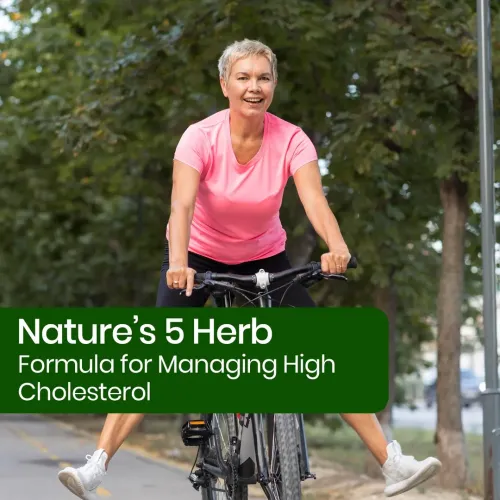 Vlado's Himalayan Organics: Cholesterol Control Supplement | Arjuna, Amla, Berberine & Curcumin | Supports Healthy Cholesterol & Lipid Levels | Triglycerides & Heart Health Support | Natural Antioxidants | Ayurvedic Natural Cholesterol Reducer - 60 Veg Capsules