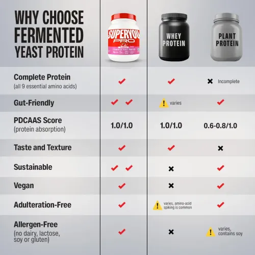SuperYou: Pro Fermented Yeast Protein Isolate 500gm | 24g Protein| Strawberry | Higher Absorption than Plant Protein | Superior Muscle Recovery | Gut Friendly | Vegan Protein | PDCAAS of 1