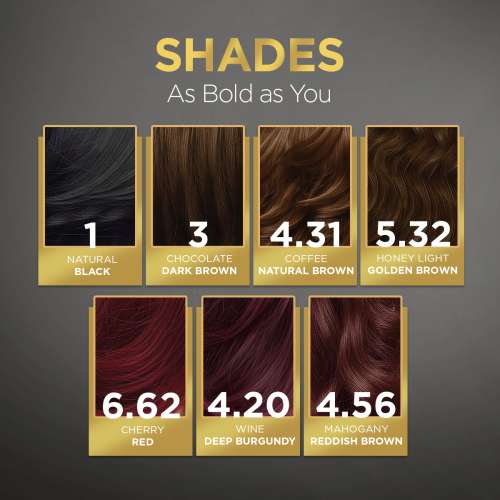 Bblunt: Salon Secret High Shine Conditioning Hair Colour | Natural Black | 100% Grey Coverage | Conditioning Formula | High Shine Finish | 130gm