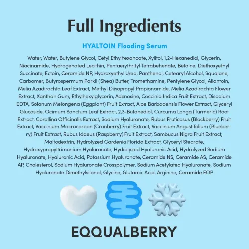 Eqqualberry: Hyaltoin Flooding Serum | Hyaluronic Acid Face Serum | Deep Hydration | Moisture Barrier | Plumping | 30ml