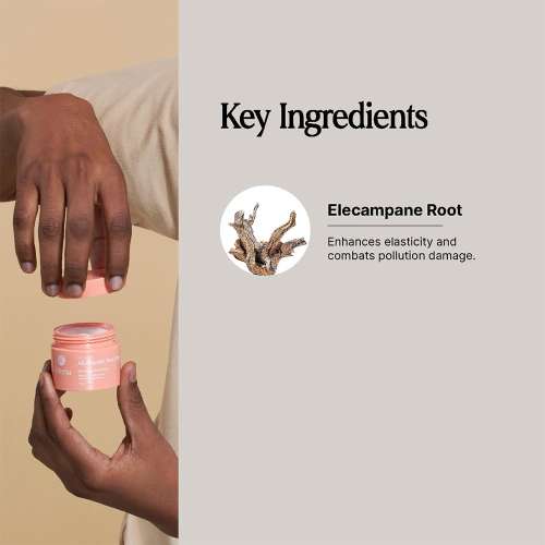 Oteria: All Rounder Skin Cream With Elecampane Root Extract | Fights Pollutants | Boosts Radiance in 14 Days| 50gm
