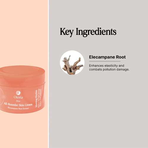 Oteria: All Rounder Skin Cream With Elecampane Root Extract | Fights Pollutants | Boosts Radiance in 14 Days | 12gm