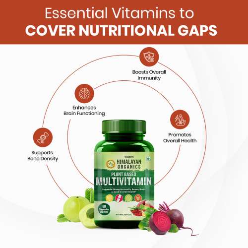 Vlado's Himalayan Organics: Plant Based Multivitamin with 60+ Extracts- 60 Vegetarian Capsules
