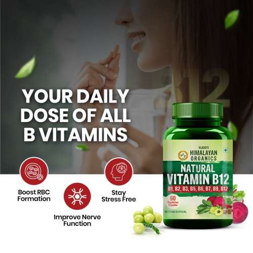 Vlado's Himalayan Organics: Plant Based Vitamin B12 Natural- 60 Veg Capsules