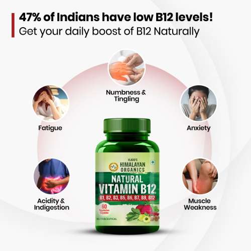 Vlado's Himalayan Organics: Plant Based Vitamin B12 Natural- 60 Veg Capsules