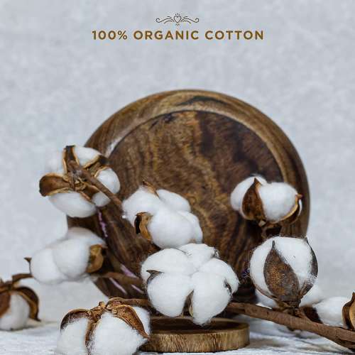 Pee Safe: 100% Organic Cotton, Biodegradable Sanitary Pads - Overnight (Pack of 10)