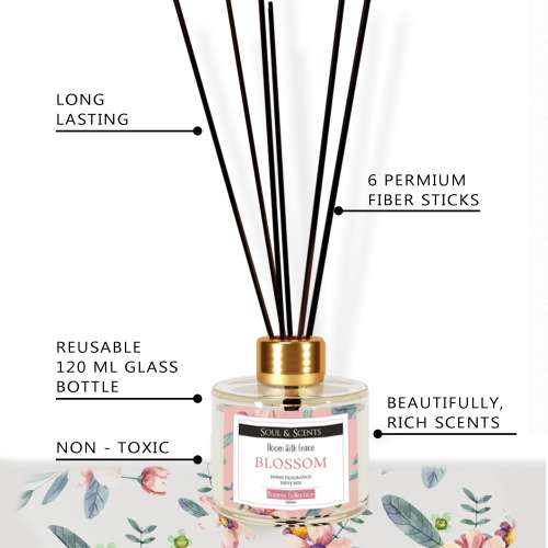 Soul & Scents: Blossom Reed Diffuser 120ml Soul & Scents: Blossom Reed Diffuser 120ml