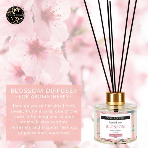 Soul & Scents: Blossom Reed Diffuser 120ml Soul & Scents: Blossom Reed Diffuser 120ml