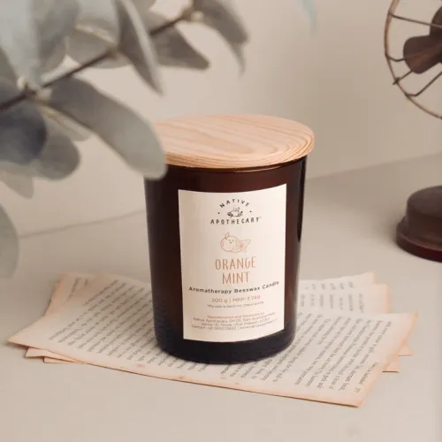Native Apothecary : Orange Mint Candle